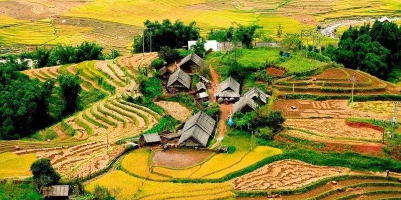 Sapa Tây Bắc mùa lúa chín