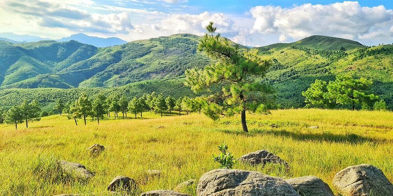 Khung cảnh tuyệt đẹp Đỉnh Phượng Hoàng