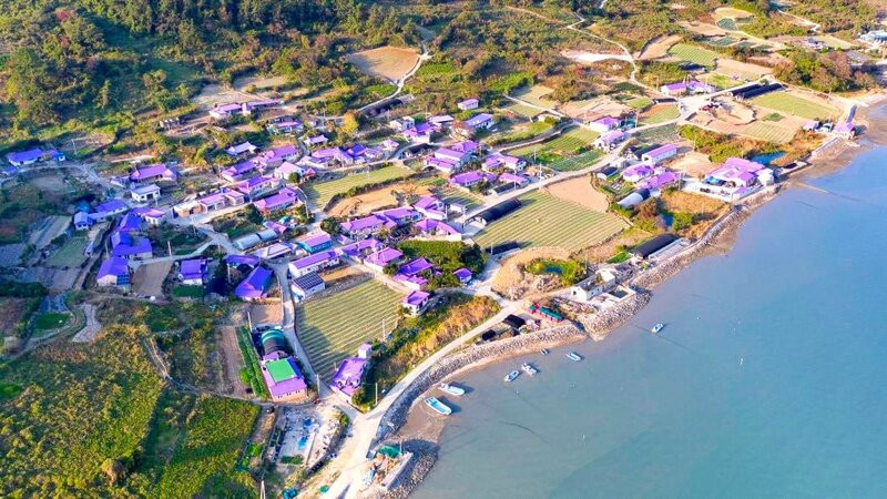 Purple-island Purple-island