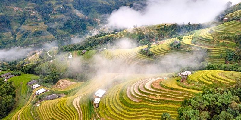 Hoàng Su Phì một bức tranh thiên nhiên