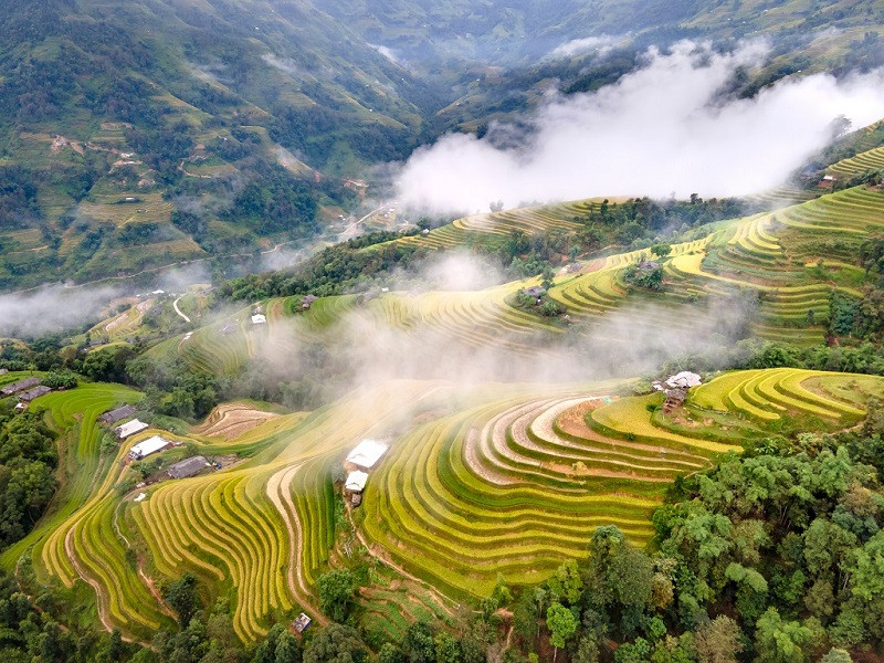 Hoàng Su Phì một bức tranh thiên nhiên